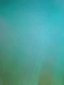 Snapshot of Steveschaw chatting on 02/19/25, 11:04 Steveschaw online show from 02/19/25, 11:04