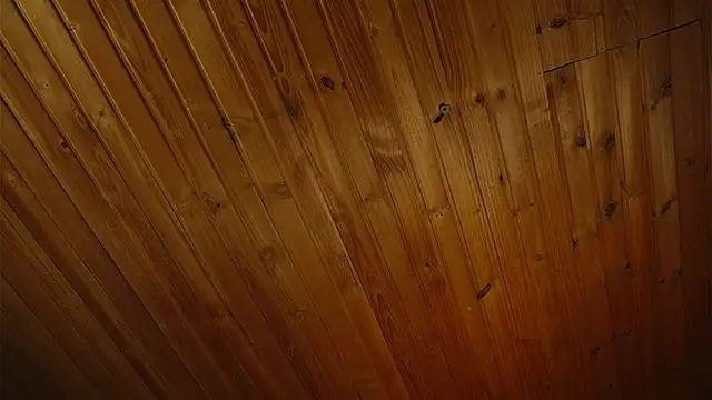 Snapshot of coraline_latin chatting on 09/25/25, 07:39 coraline latin online show from 09/25/25, 07:39