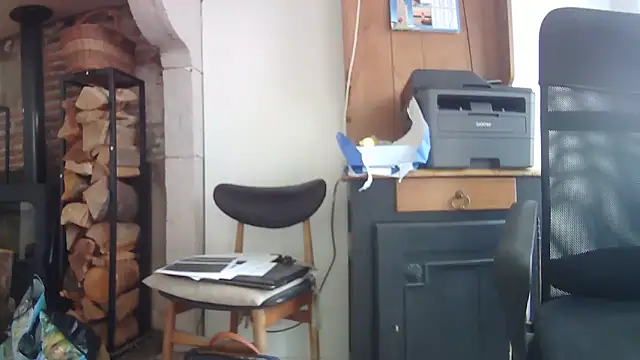 Snapshot of phlox3 chatting on 09/30/25, 10:31 phlox3 online show from 09/30/25, 10:31