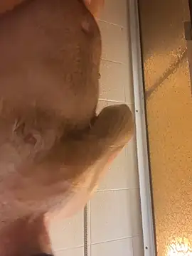 AlejoStrep online show from 02/12/26, 03:01