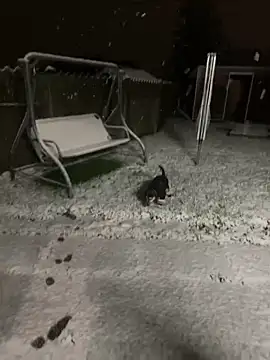 DannaaMeliza online show from 01/09/25, 10:20