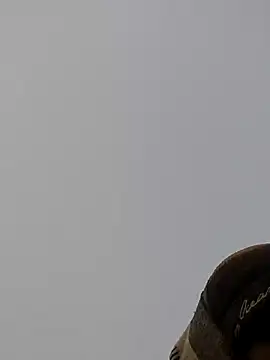 ThethunderPo online show from 12/27/24, 01:43