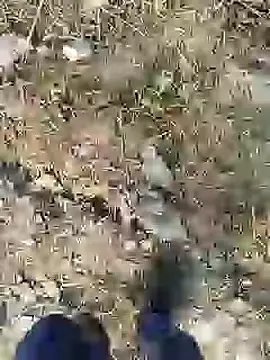 ThethunderPo online show from 12/28/24, 02:43