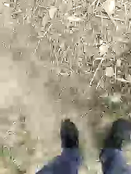 ThethunderPo online show from 01/04/25, 02:46