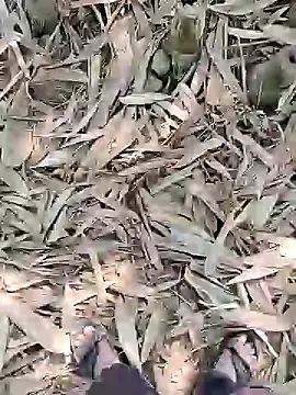 ThethunderPo online show from 02/21/25, 05:24