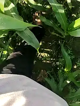 ThethunderPo online show from 03/19/25, 02:48