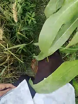 ThethunderPo online show from 03/21/25, 02:50