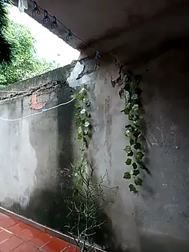 Snapshot of Camilatinass_ chatting on 04/16/26, 11:55 Camilatinass online show from 04/16/26, 11:55