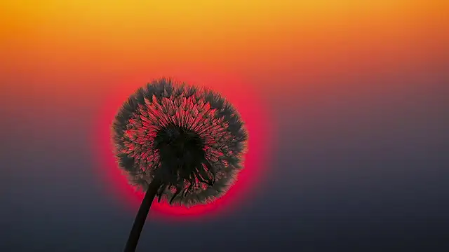 Snapshot of Sunning2 chatting on 09/17/25, 09:22 Sunning2 online show from 09/17/25, 09:22