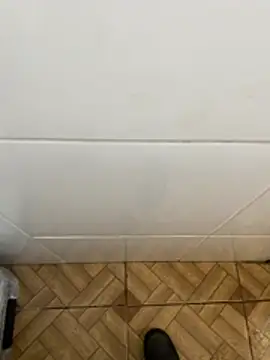 descret 19 online show from 02/11/26, 02:55