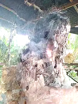 loveuu-bae online show from 10/23/25, 09:35