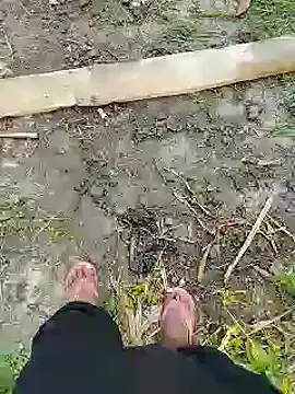 Snapshot of bigh96dik chatting on 01/14/25, 08:41 bigh96dik online show from 01/14/25, 08:41