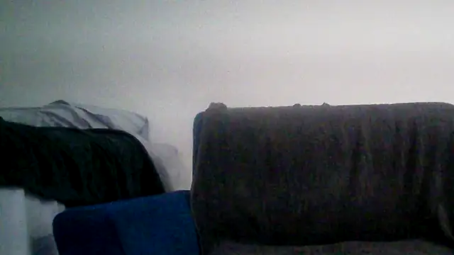 TOYTOYNOW online show from 12/24/24, 06:39