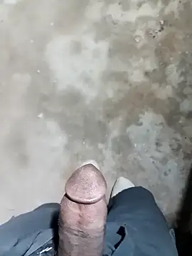 Bengali BULL1 online show from 11/15/25, 06:26