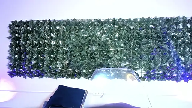 AbbyTaylorr online show from 03/02/26, 03:20