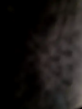 Snapshot of mogli444 chatting on 12/08/24, 01:03 mogli444 online show from 12/08/24, 01:03