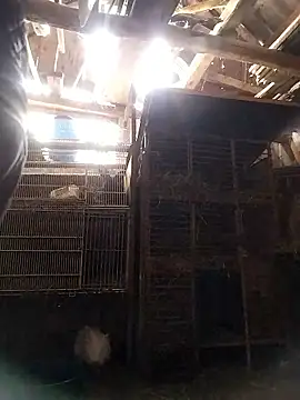 sarpe4 online show from 01/10/26, 08:16