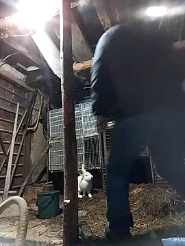 sarpe4 online show from 02/19/26, 04:14