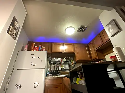 odbodu online show from 10/04/25, 10:13