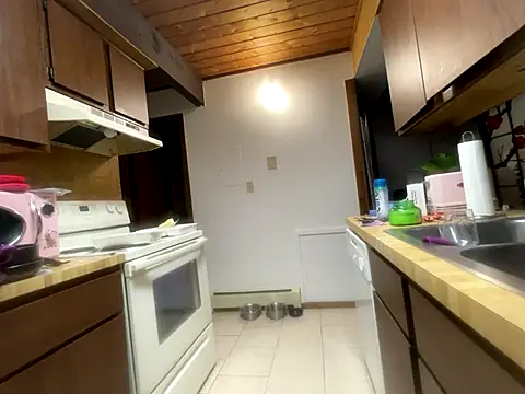 odbodu online show from 11/14/25, 06:06