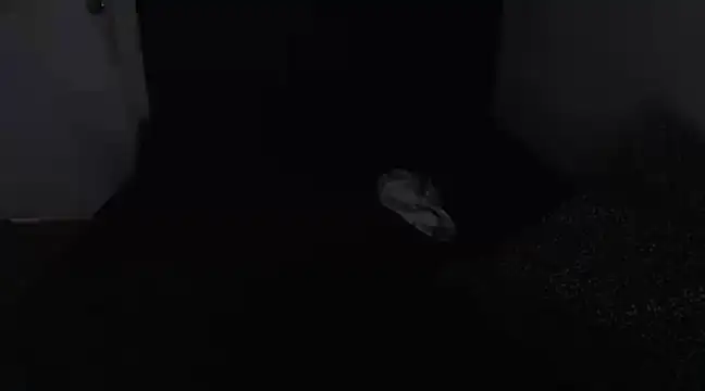 Chanelsexyy online show from 03/16/25, 08:43