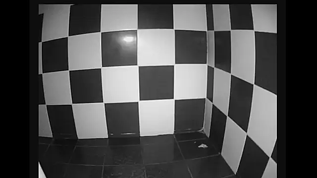 Snapshot of lysergic47 chatting on 01/28/25, 11:07 lysergic47 online show from 01/28/25, 11:07