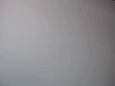 Mia davis01 online show from 01/12/25, 08:14