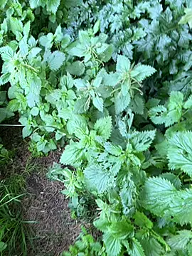 curcuro online show from 02/27/26, 04:07