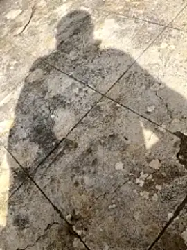 curcuro online show from 03/01/26, 10:50