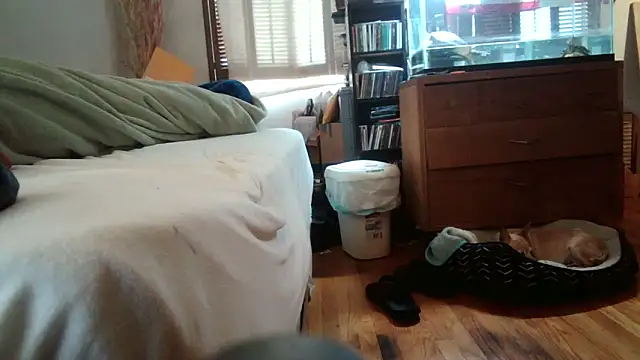 Snapshot of jumpingtomflash chatting on 04/16/26, 02:01 jumpingtomflash online show from 04/16/26, 02:01