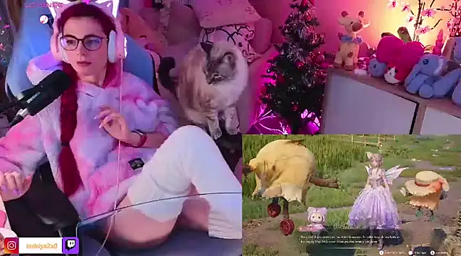 Snapshot of Indriya2x0 chatting on 12/17/24, 10:22 Indriya2x0 online show from 12/17/24, 10:22