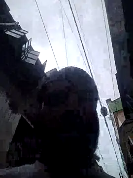 Dogol1990 online show from 10/08/25, 06:22