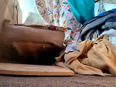 Snapshot of klamper chatting on 01/28/25, 07:42 klamper online show from 01/28/25, 07:42