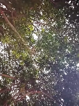 Snapshot of Brenda_Berck_ chatting on 04/05/26, 12:57 Brenda Berck online show from 04/05/26, 12:57