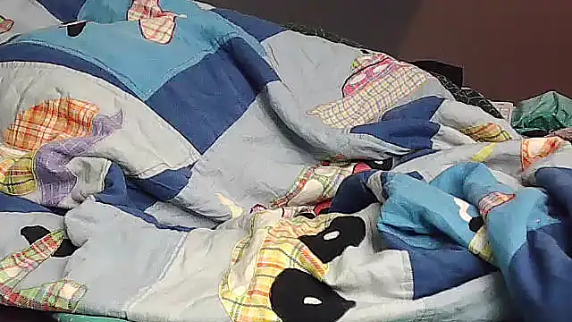 Snapshot of k-dong chatting on 11/29/25, 11:35 k-dong online show from 11/29/25, 11:35