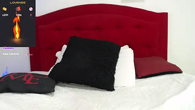 Snapshot of Rouss_Meyers chatting on 02/25/25, 07:36 Rouss Meyers online show from 02/25/25, 07:36