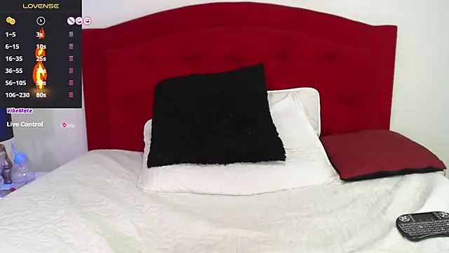 Snapshot of Rouss_Meyers chatting on 02/25/25, 11:11 Rouss Meyers online show from 02/25/25, 11:11