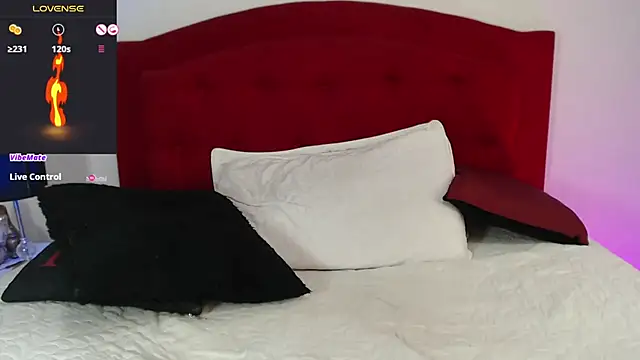 Snapshot of Rouss_Meyers chatting on 03/01/25, 12:07 Rouss Meyers online show from 03/01/25, 12:07