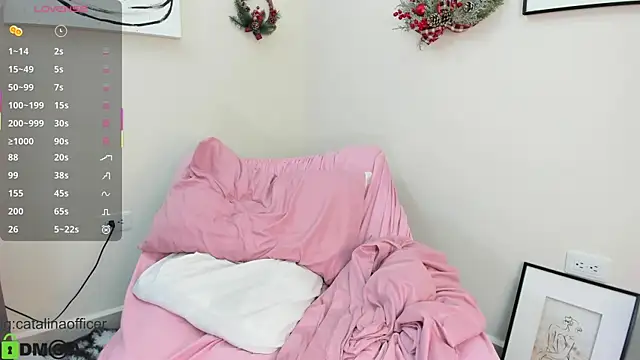 Snapshot of catalinaofficer chatting on 11/30/25, 11:14 catalinaofficer online show from 11/30/25, 11:14