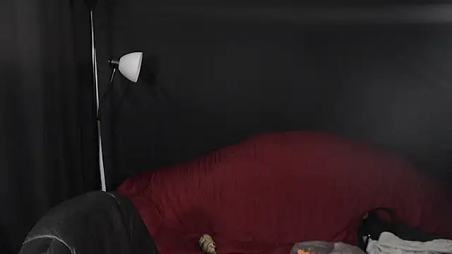 Metalstud online show from 12/29/24, 12:09