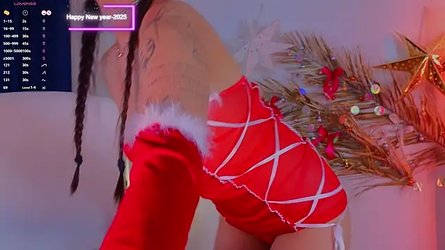 Snapshot of a11yson chatting on 12/31/24, 08:34 a11yson online show from 12/31/24, 08:34