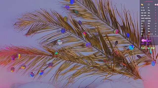 Snapshot of a11yson chatting on 03/11/25, 05:35 a11yson online show from 03/11/25, 05:35