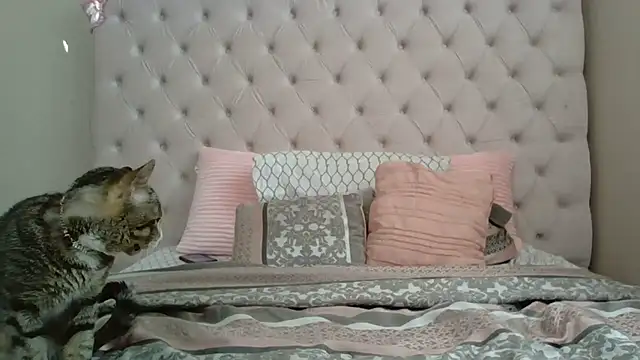 beautylovess online show from 12/21/25, 02:35