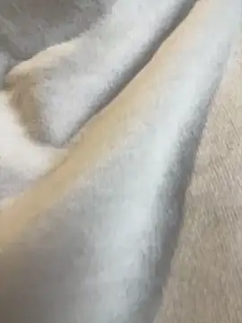 Snapshot of Aestheticsgirl chatting on 03/03/26, 07:47 Aestheticsgirl online show from 03/03/26, 07:47