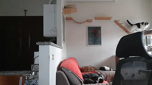 Snapshot of simona60 chatting on 02/09/25, 02:07 simona60 online show from 02/09/25, 02:07