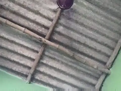 sujanmanda online show from 09/23/25, 06:49