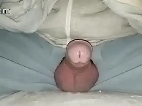 Bigdick666cm online show from 01/31/25, 06:47