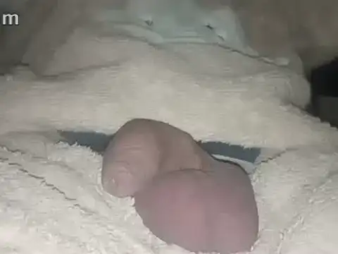 Bigdick666cm online show from 02/22/25, 03:45