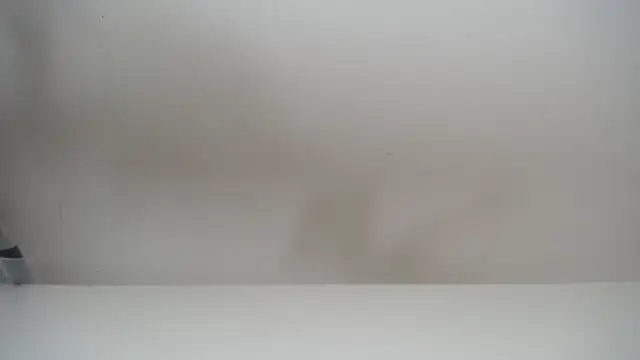 Snapshot of salomecastro_ chatting on 11/19/25, 06:30 salomecastro online show from 11/19/25, 06:30