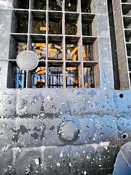 Ethangay online show from 03/31/26, 06:47